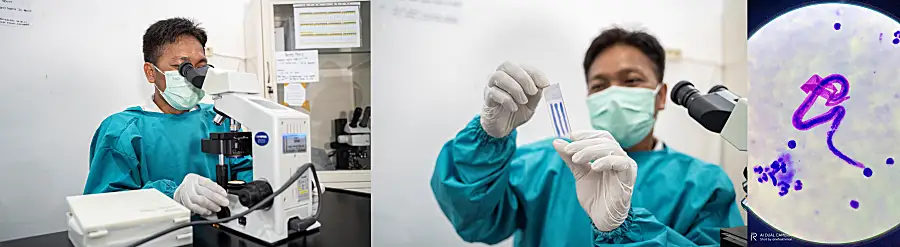 Left: man looking in microscope. Center: man looking at slide. Right: LF worm