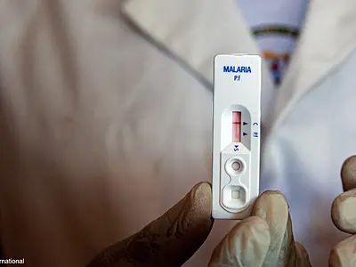Technician holding a malaria test