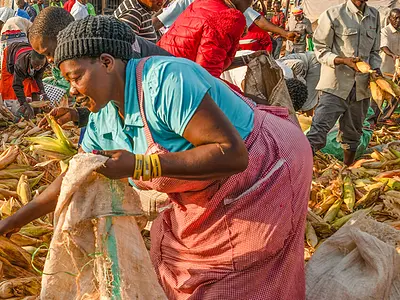 Lady gathering corn at an African market