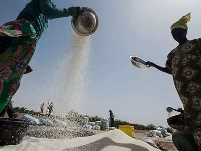 Senegal grain production
