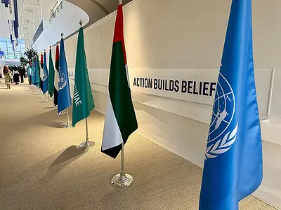 Flags at COP28