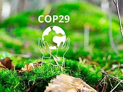 Green plants with a COP29 graphic featuring hands holding the globe