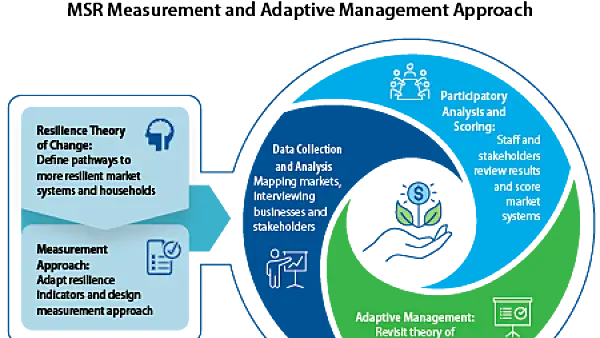 Graphic of the market system resilience approach