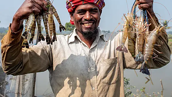 Photo of a farmer in Bangladesh displaying the harvest from his integrated prawn-fish-vegetable farming