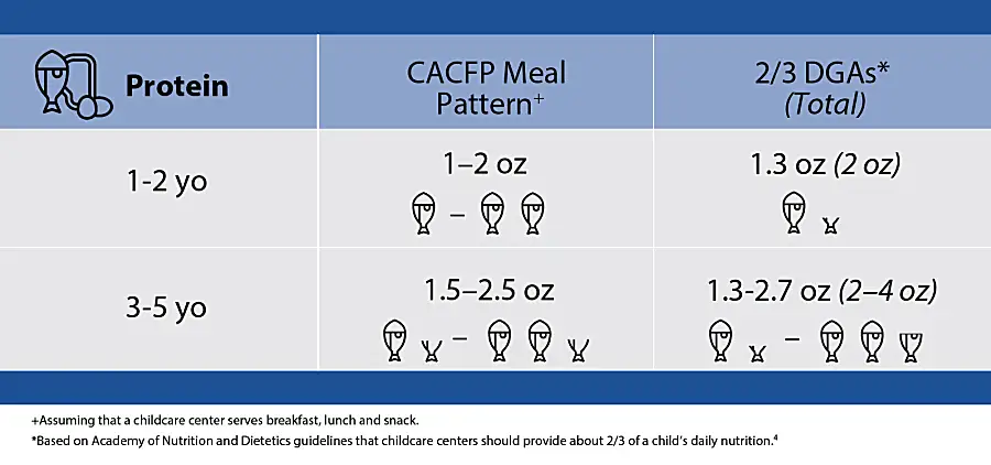 Chart shows dietary recommendations for protein in child care centers