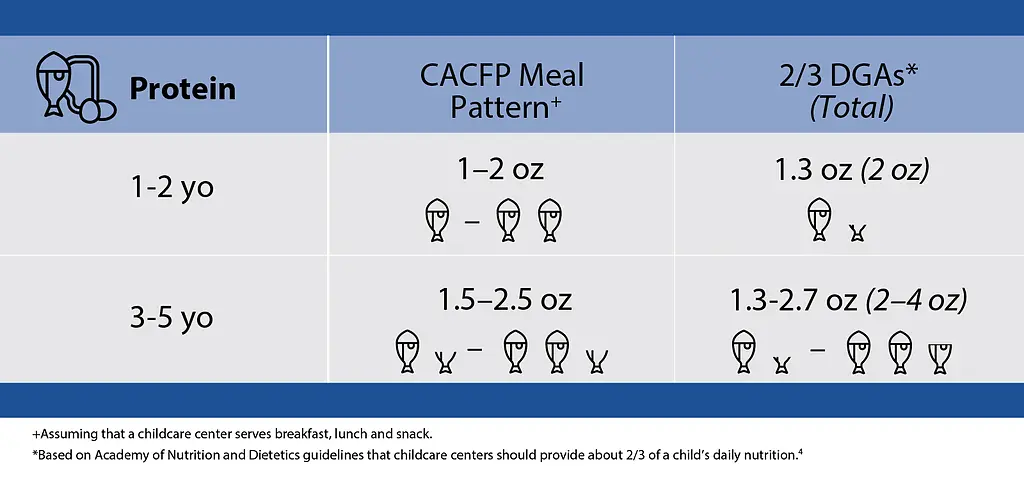 Chart shows dietary recommendations for protein in child care centers