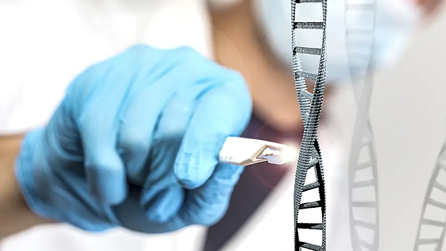 A closeup of a scientist using clippers on a model of a DNA molecule.