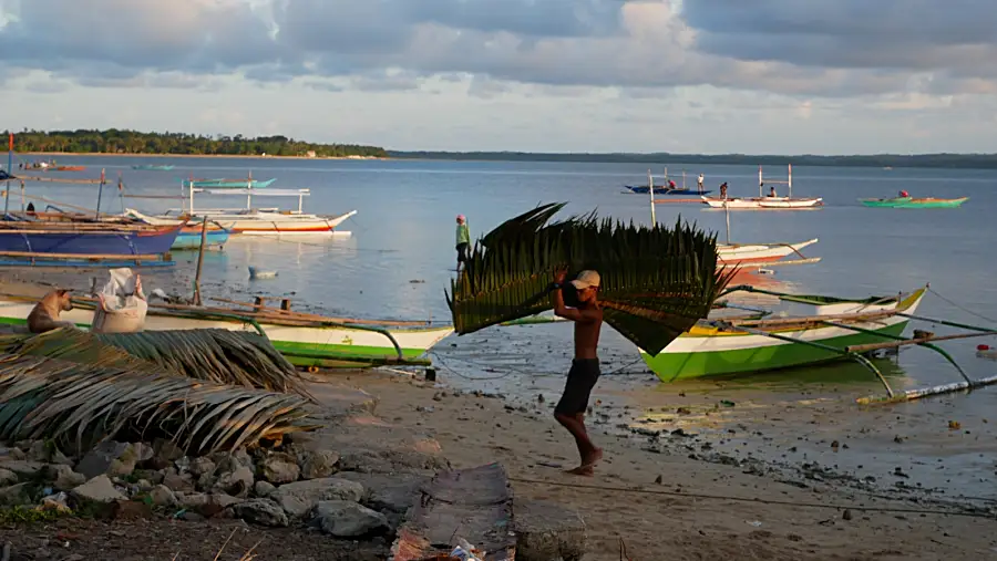 Man carries palm branches on a beach in the Philippines