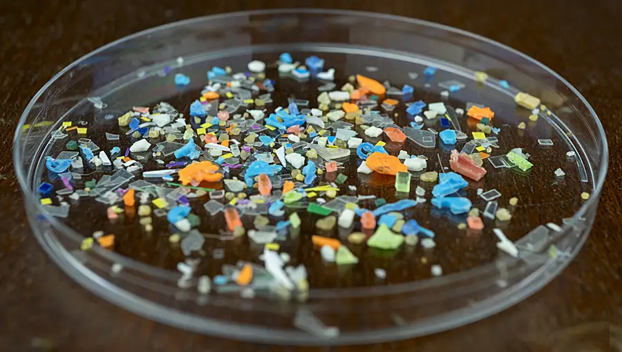 Microplastics