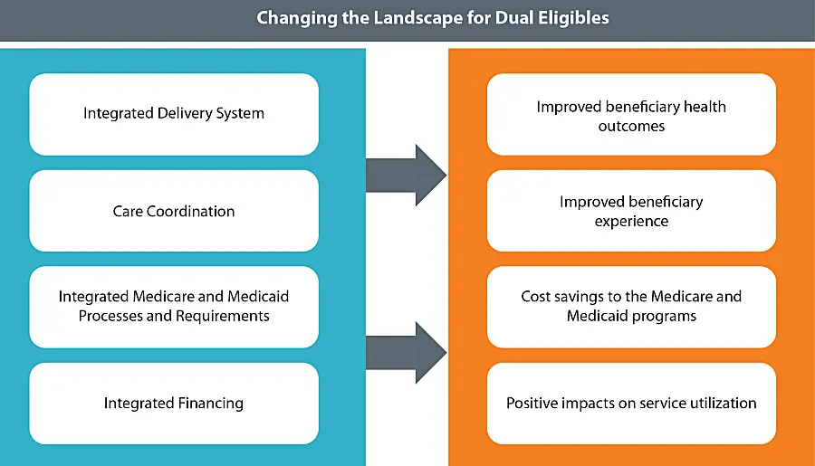 Dual Eligibles Graphic