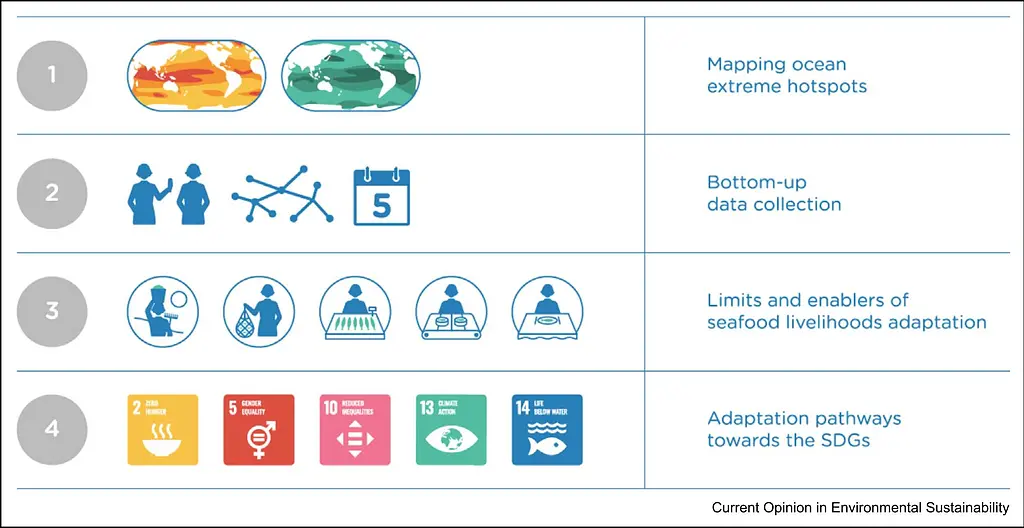 Seafood Livelihoods Report Graphic