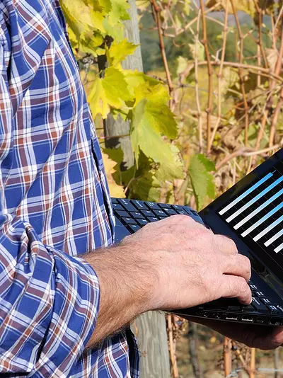 A man uses a tablet in a vineyard