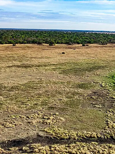 A view of wetlands on a sunny day