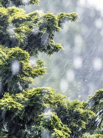 Rain falling on a roof and in a gutter 