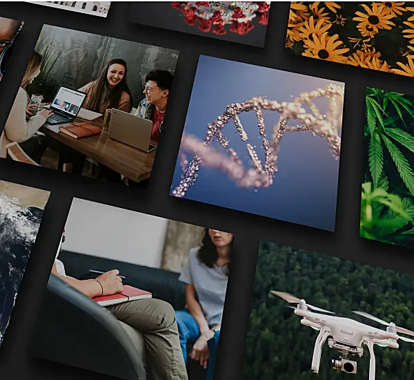 A collage of diverse images showcases healthcare, nature, technology, and human connection.