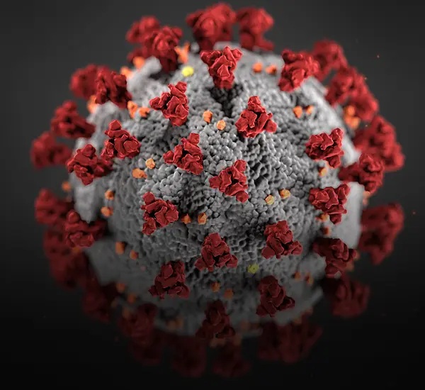A microscopic view of the novel coronavirus that causes COVID-19.