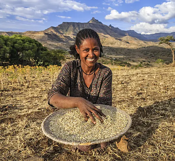 A woman sifting grains outdoors in a dry field with mountainous landscape in the background.