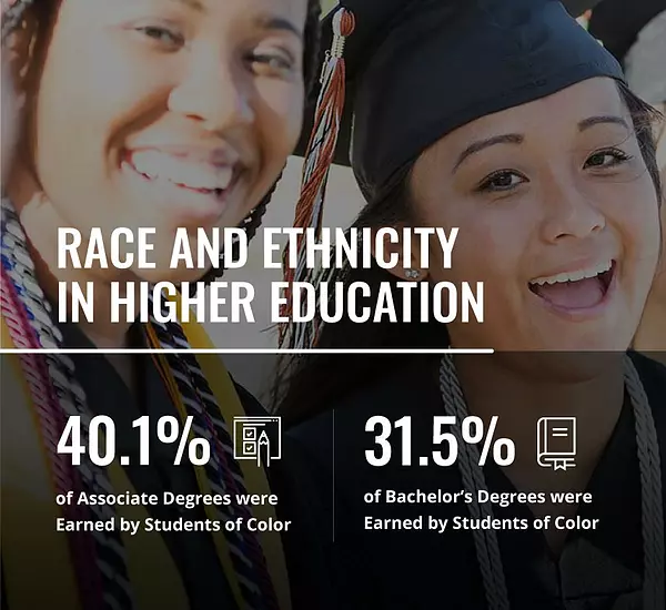 Logo for Race and Ethnicity in Higher Education microsite.