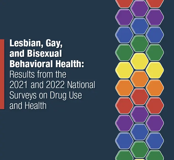 Data Report: Lesbian, Gay, and Bisexual Behavioral Health 