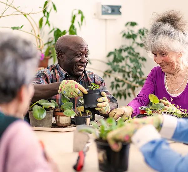 Elderly people with plants
