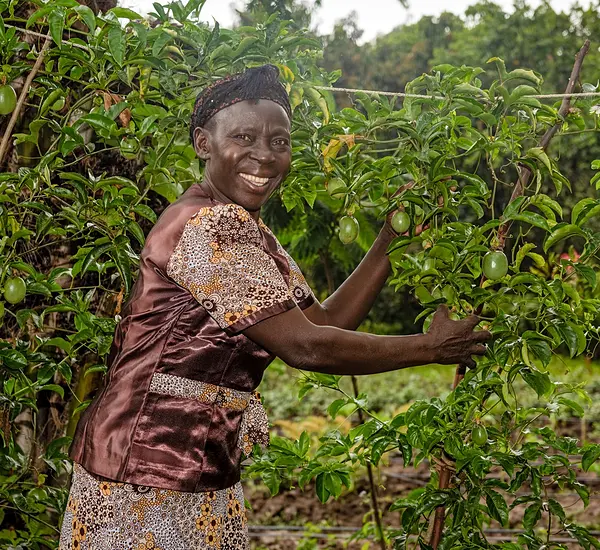 Photo of a Kenyan farmer smiling by her crops