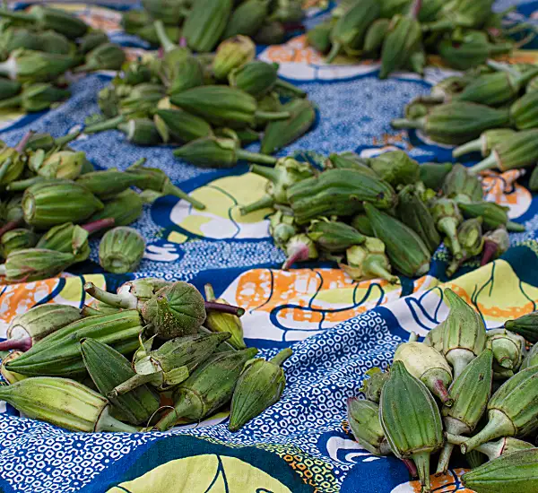 Photo of harvested okra in a Liberian market