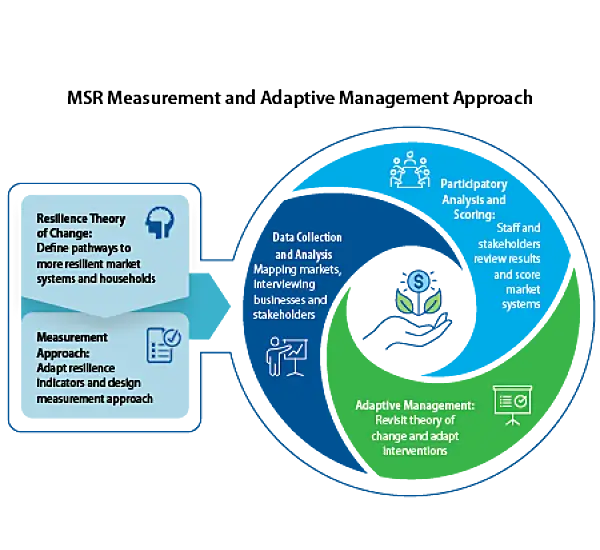 Graphic of the market system resilience approach