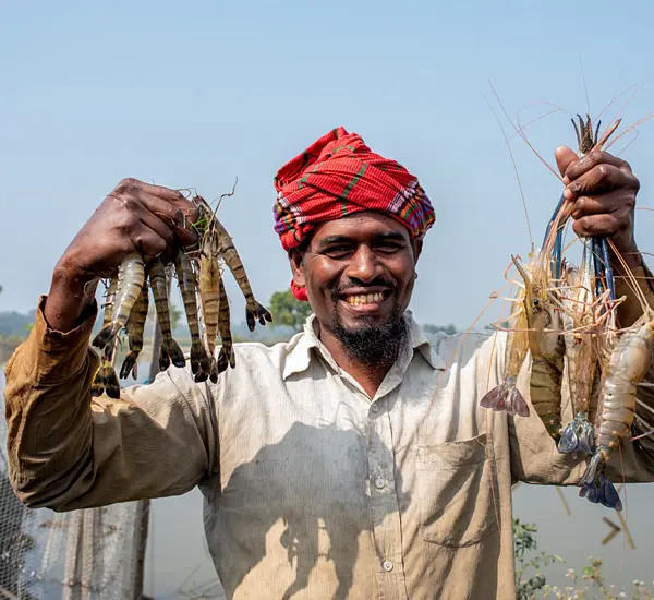 Photo of a farmer in Bangladesh displaying the harvest from his integrated prawn-fish-vegetable farming
