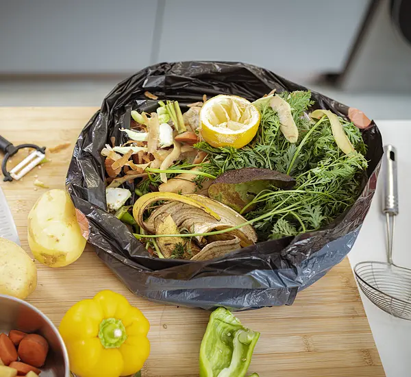 Food waste from vegetables in black trash bag