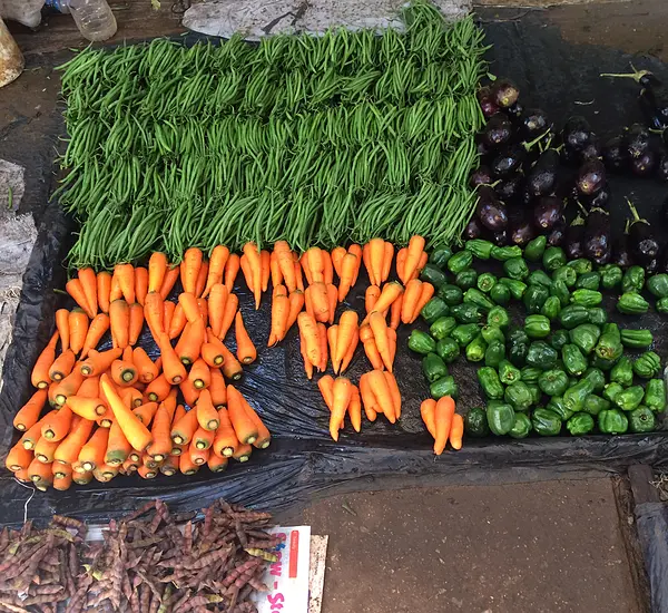 Carrots, green beans, eggplants, cucumbers, peppers