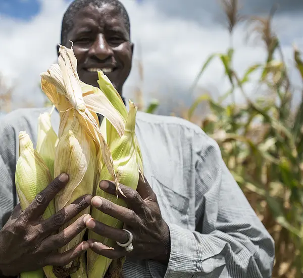 Photo of a man in a field smiling holding corn