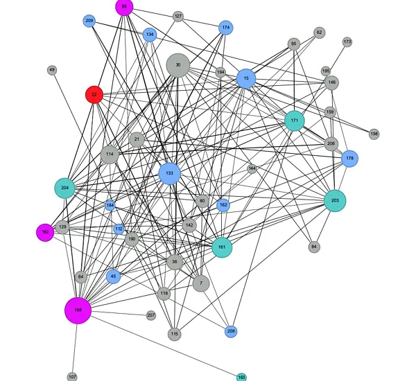 Graphic showing a visualization of social networks. The circles or nodes represent individuals in the network while the lines connecting them represent the interactions between them.