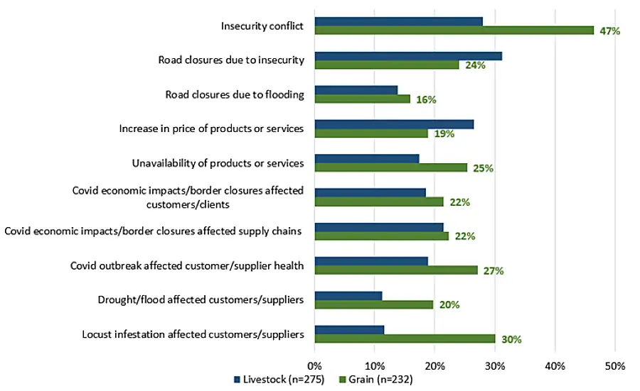 Chart shows conditions affecting the grain and livestock market in Somalia.