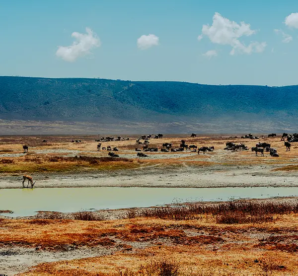 The Ngorongoro Conservation Area & Crater in Tanzania