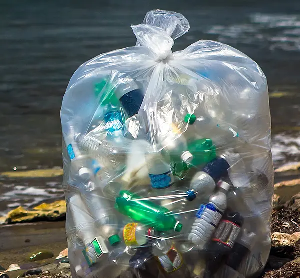 Trash bag in ocean