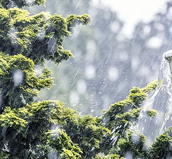 Rain falling on a roof and in a gutter 