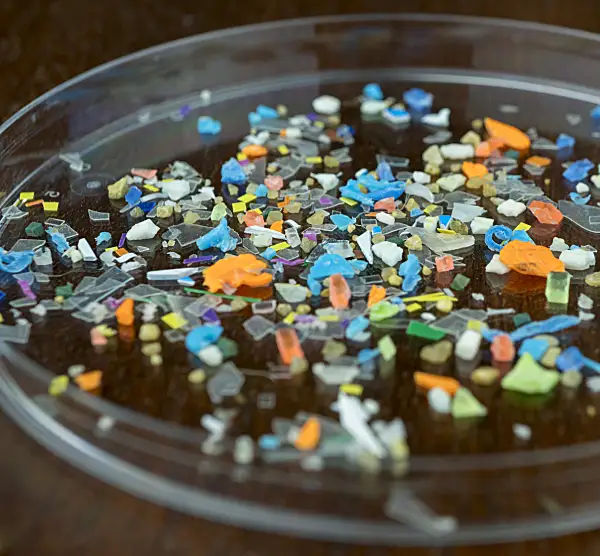 Microplastics