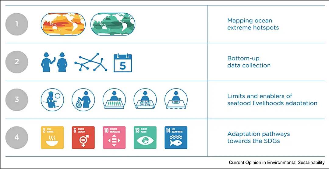 Seafood Livelihoods Report Graphic