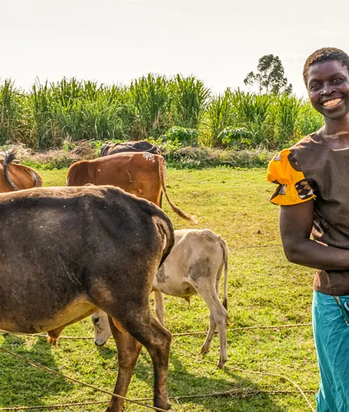 A Kenyan farmer carries a toddler through a green field with cattle.