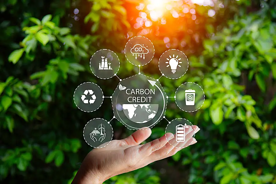 Graphic displaying 7 components of carbon credit