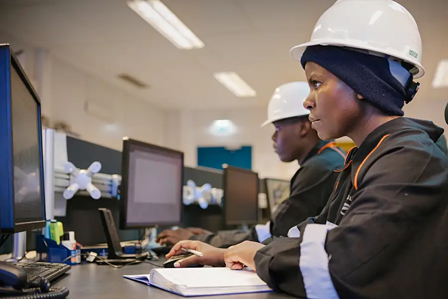 Photo of African energy staff working at computers in an office