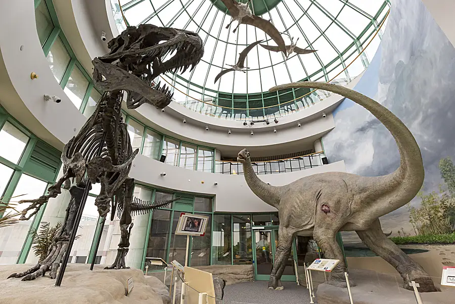 The North Carolina Museum of Natural Sciences features an acrocanthosaurus skeleton in a dynamic display.