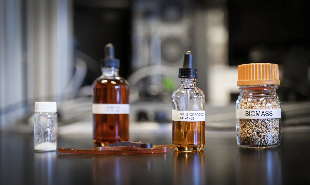The MegaBIO project turns biomass, such as the wood in the vial at right, into valuable products, including methoxyphenol, vanilla flavoring, and flame-retardant additives.