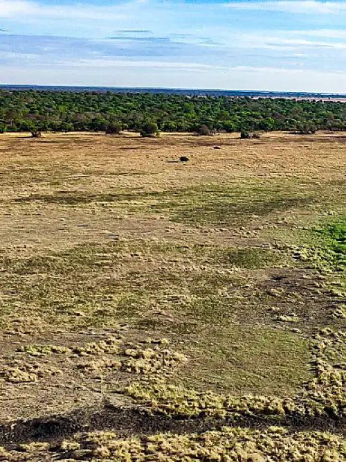 A view of wetlands on a sunny day