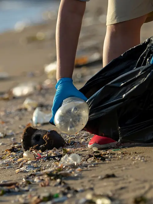 Person with gloves on picking up trash along the shoreline 