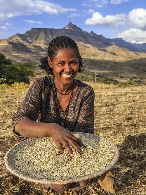 Ethiopia woman with grain basket