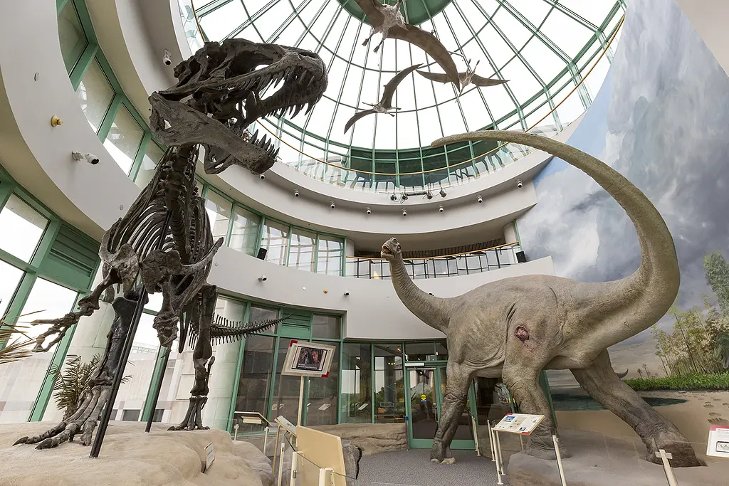 The North Carolina Museum of Natural Sciences features an acrocanthosaurus skeleton in a dynamic display.