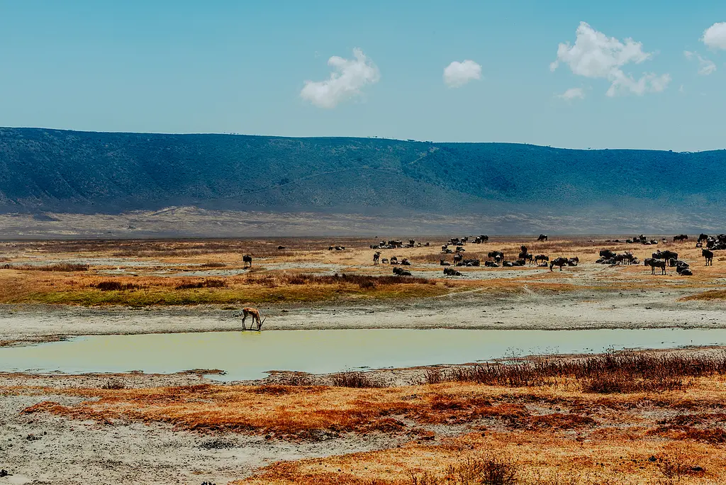The Ngorongoro Conservation Area & Crater in Tanzania
