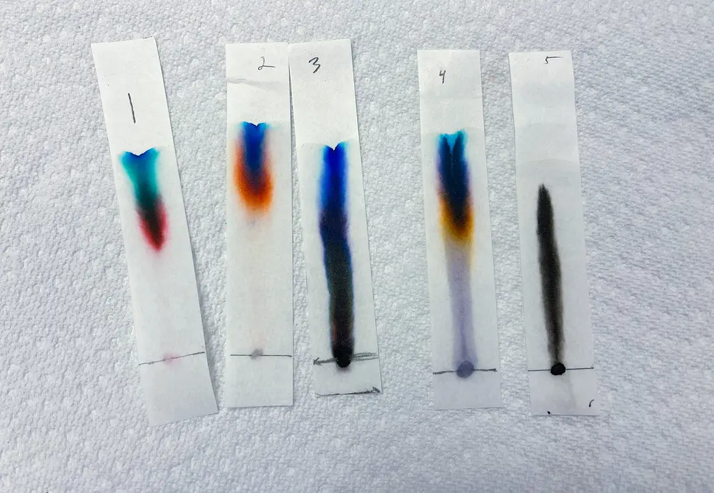Five chromatography results using strips of paper and markers
