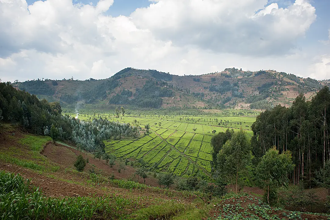 Overlooking a field of crops with a mountain terrain 